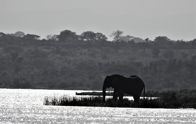 10 days cruising itinerary in Uganda