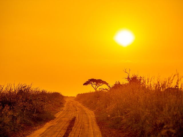 11 Days Best of Uganda safari.